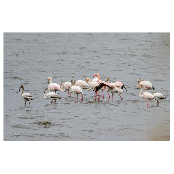 PHOTO84, CLUB, 84 , LUBERON